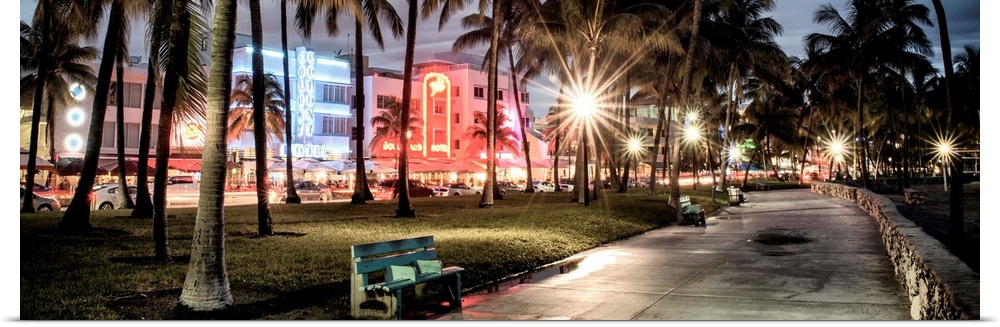 Bright lights from street lamps and neon signs illuminate Ocean Drive in the evening.