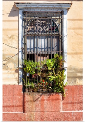 Cuba Fuerte Collection - Cuban Window