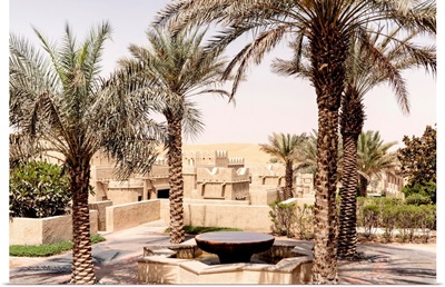 Desert Home - Among The Palm Trees