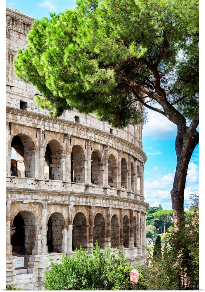 It's a view of the Colosseum in the centre of the city in Rome, Italy.