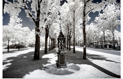 Fountain in Paris