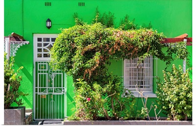 Green House - Cape Town