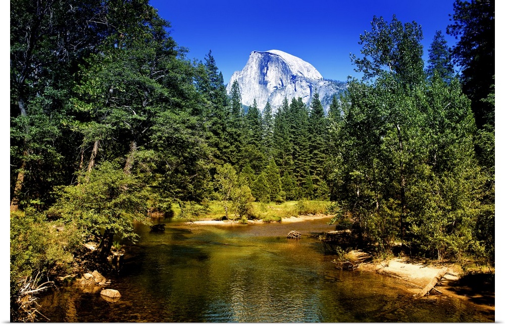 The peak of Half Dome can be seen over the tops of pine trees in California's Yosemite National Park.