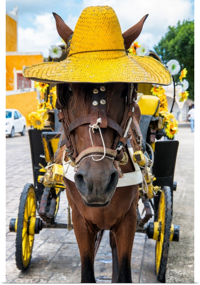 Close-up photograph of a horse on the streets of Izamal, Mexico, wearing a bright yellow straw hat and pulling a yellow ca...