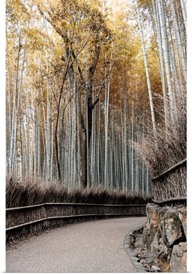 Japan Rising Sun Collection - Bamboo Path II
