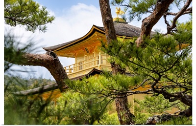 Japan Rising Sun Collection - Kinkaku-Ji Golden Temple