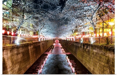 Japan Rising Sun Collection - Meguro River Cherry Blossom