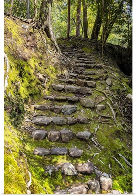 Japan Rising Sun Collection - Natural Staircase II