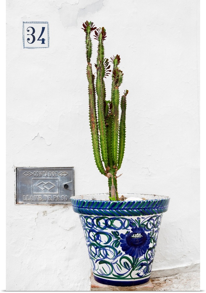 It's a terracotta pot with a cactus in front of a white wall in Mijas, Spain.