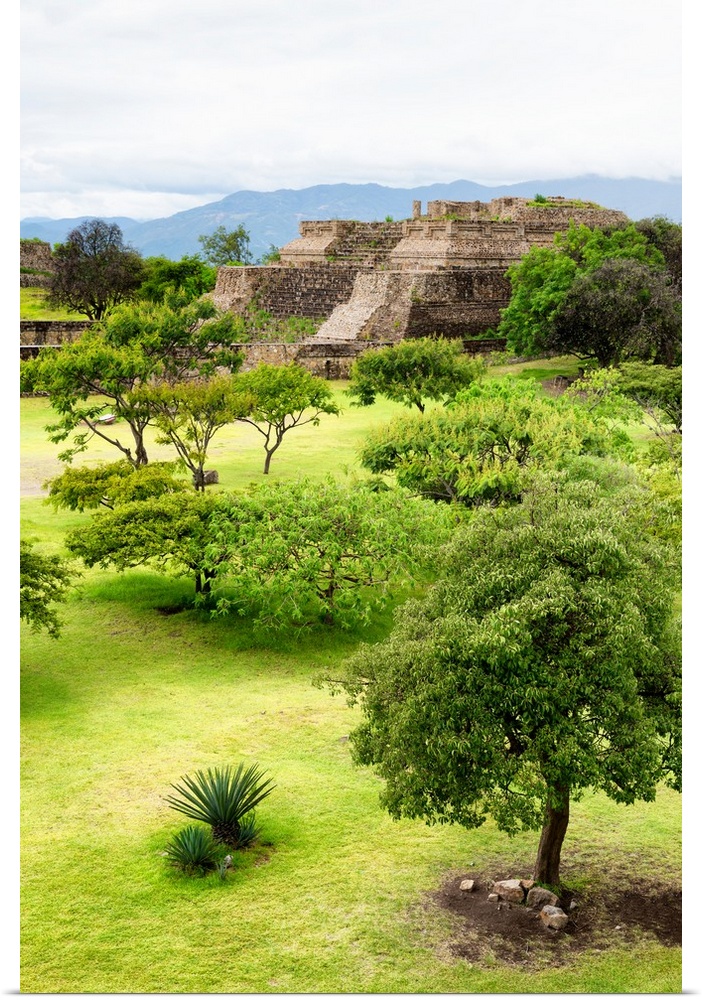 Photograph of an ancient Mayan temple at Monte Alban archaeological site in Oaxaca, Mexico. From the Viva Mexico Collection.