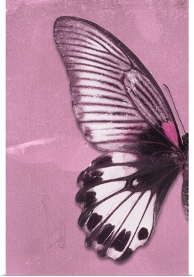 Miss Butterfly Agenor Profil - Pale Violet