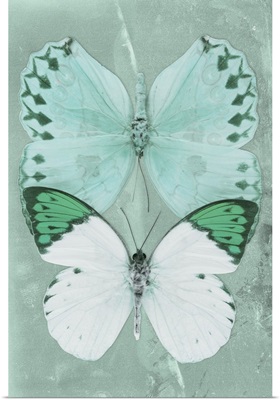 Miss Butterfly Duo Formoia Ii - Coral Green