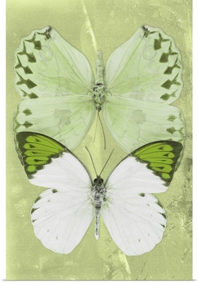 Miss Butterfly Duo Formoia Ii - Lime Green