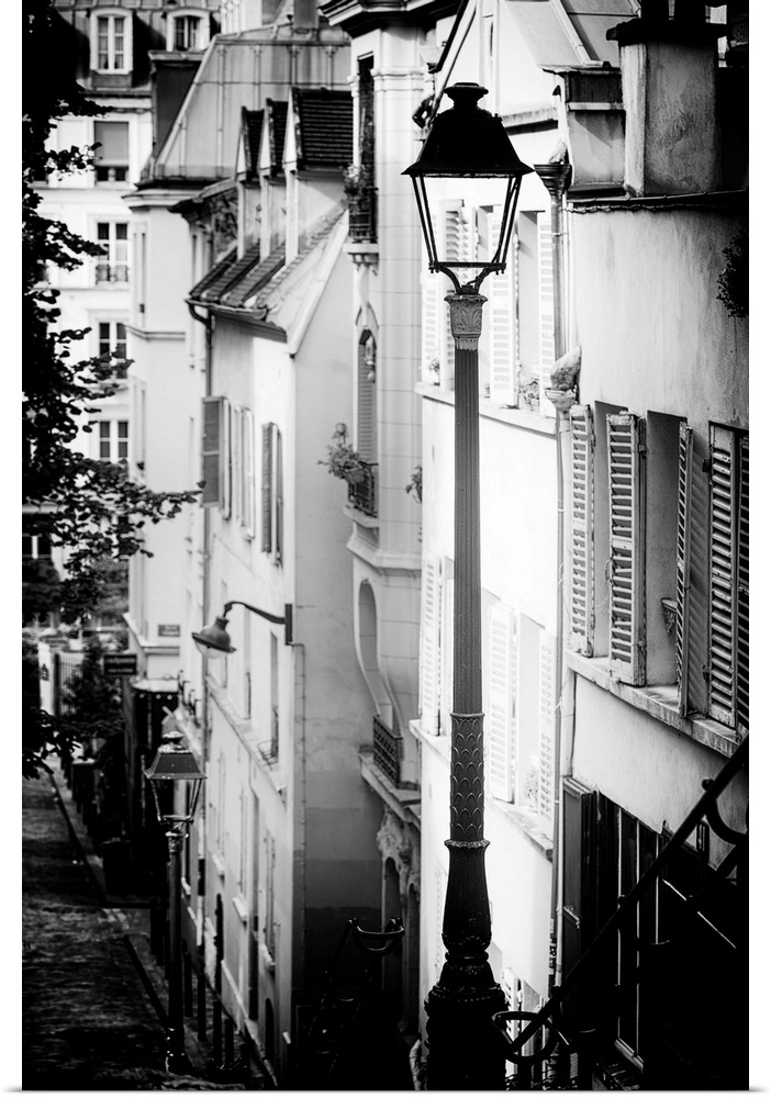 A black and white photograph of a lamppost in Paris.