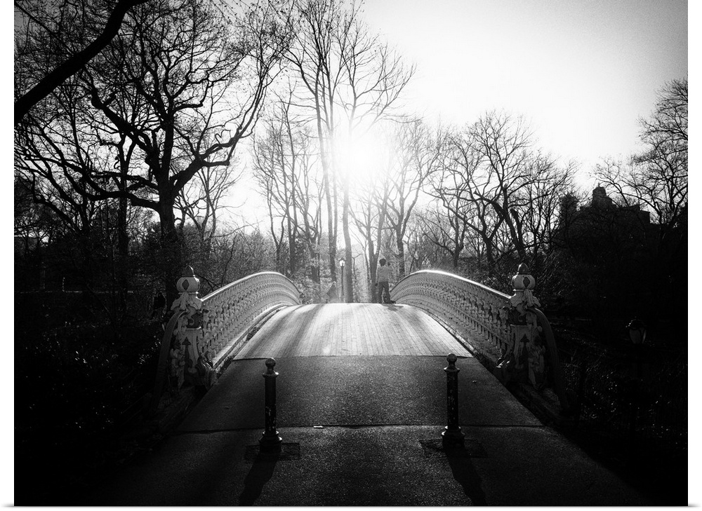 Black and white photograph of a bridge in Central Park, New York city.