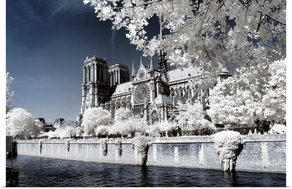 A view of the Notre Dame Cathedral in Paris, made in infrared mode in summer. The vegetation is white and rendering of the...