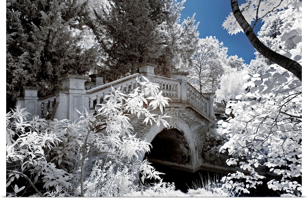 A view of a historic bridge in a park in Paris, made in infrared mode in summer. The vegetation is white and rendering of ...