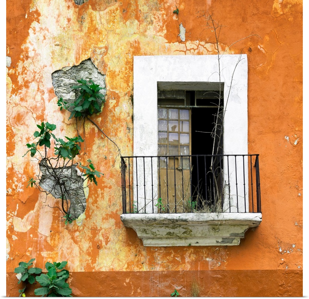 Square photograph of a rustic balcony with orange chipping paint and new plant growth on the exterior wall. From the Viva ...