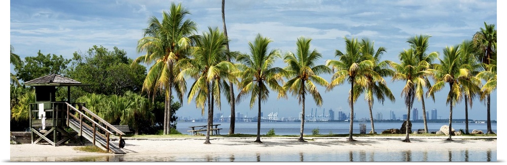 A beach hut and row of palm trees on a sand bank in Florida.