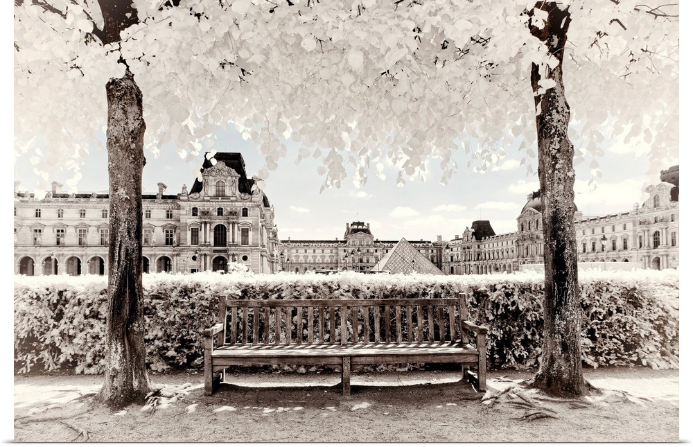 It's a winter landscape with a bench between two trees in front of the Louvre Museum in Paris. The trees have white leaves...