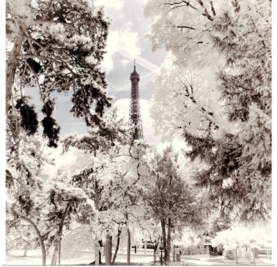 Paris Winter White Collection - Snowy peaks