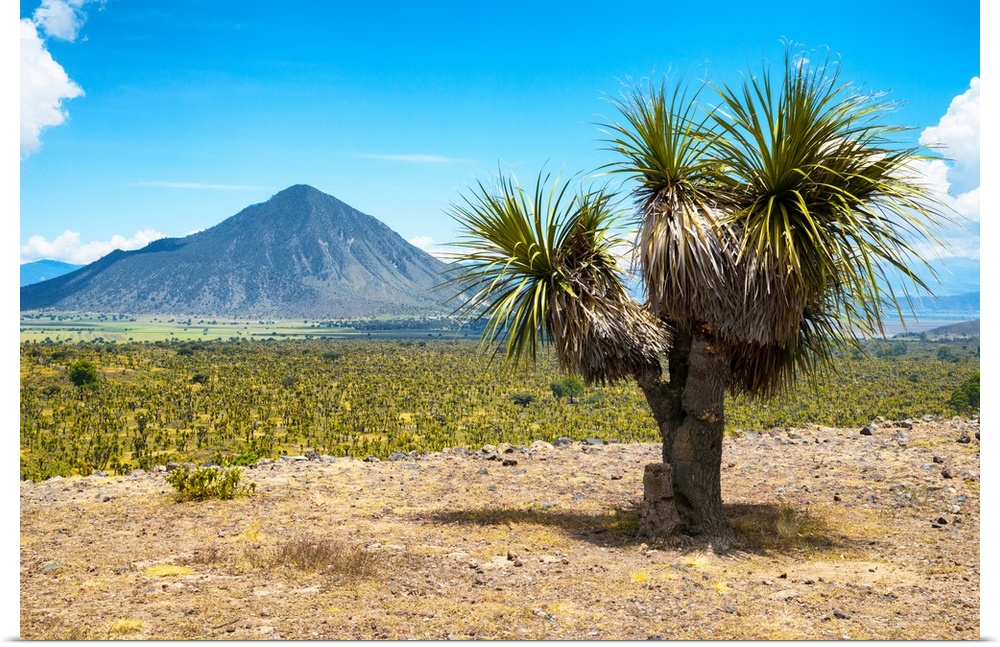 Desert landscape photograph with a mountain in the background located in Puebla, Mexico. From the Viva Mexico Collection.