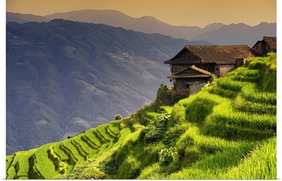 Rice Terraces, Longsheng Ping'an, Guangxi