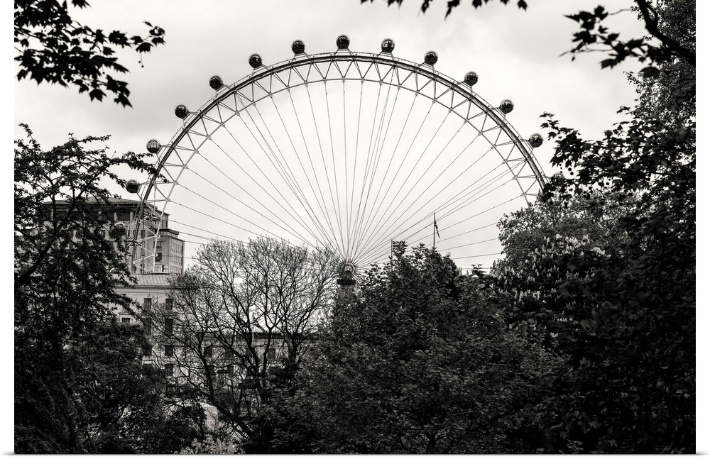 Black and white photo of the London Eye behind trees in London, England.