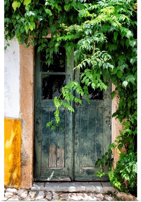 Welcome to Portugal Collection - Wild Door
