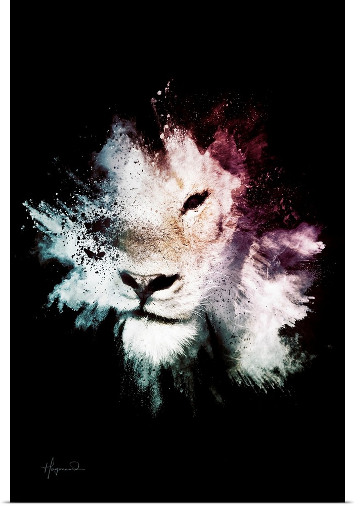 Wild Explosion Collection - The Lion