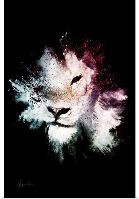 Wild Explosion Collection - The Lion