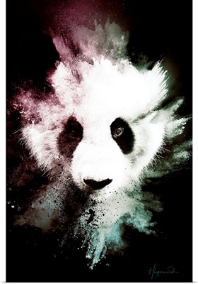 Wild Explosion Collection - The Panda