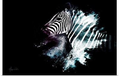 Wild Explosion Collection - The Zebra