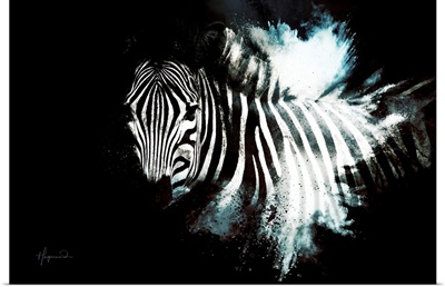 Wild Explosion Collection - The Zebra II