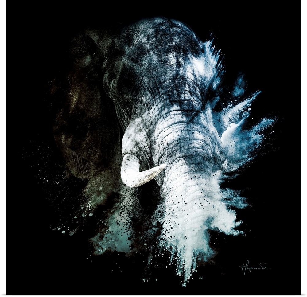 Wild Explosion Square Collection - The Elephant II