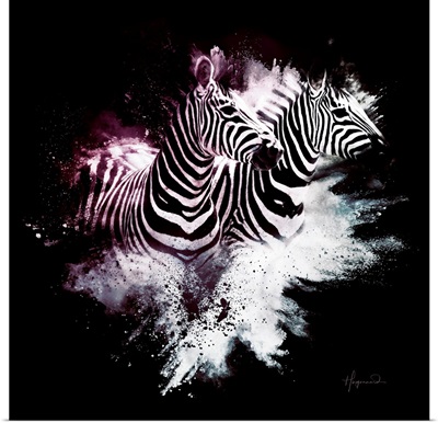 Wild Explosion Square Collection - The Zebras