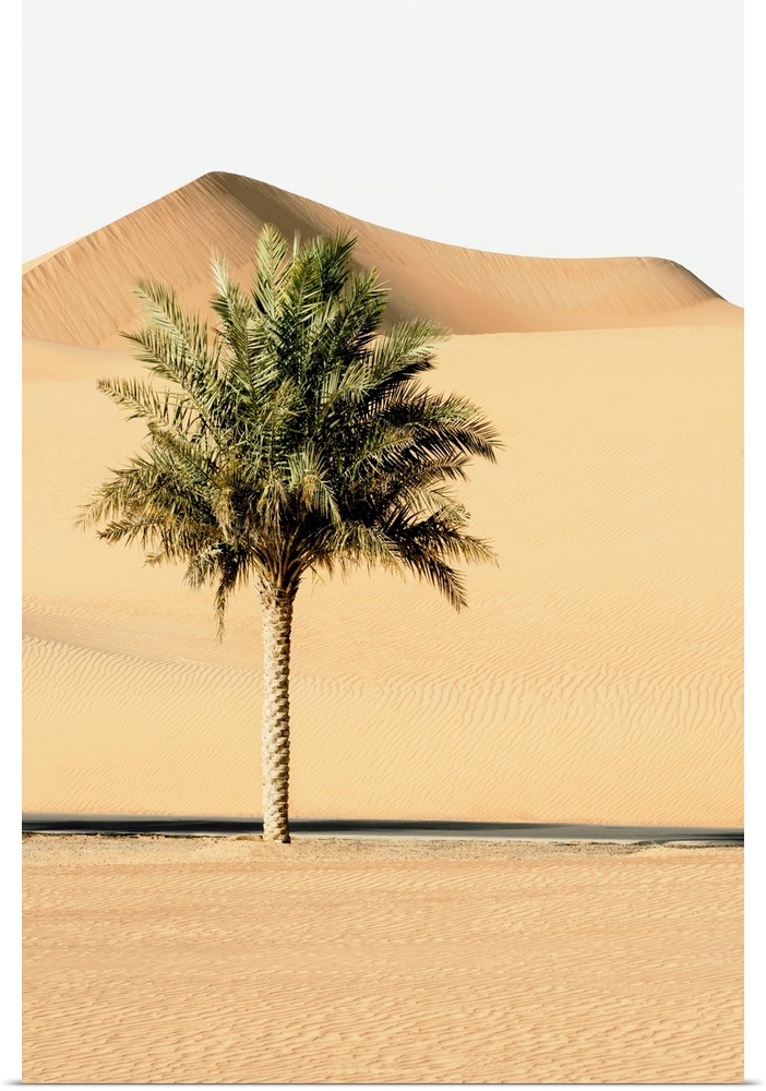 Wild Sand Dunes Collection
by Philippe Hugonnard