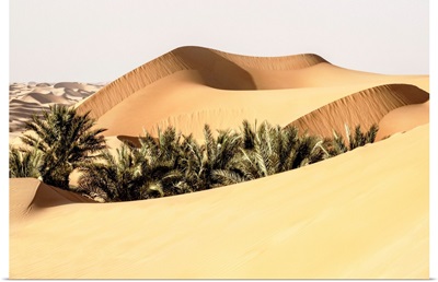 Wild Sand Dunes - Between Two