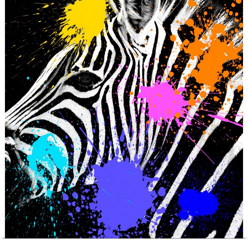 Colourful and stylised, Safari Colors Pop adds a bright, modern touch to minimalist portraits of wild animals. Black and w...