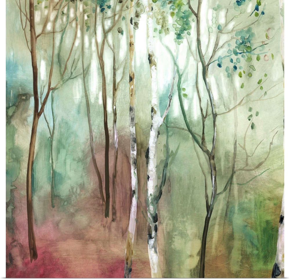Square painting of Birch trees in a forest with red, blue, green, white, and brown hues.