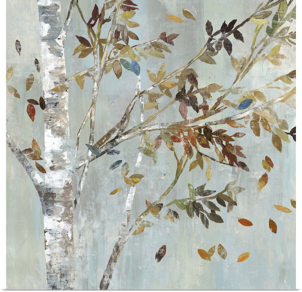 A birch tree with leafy branches in the fall.