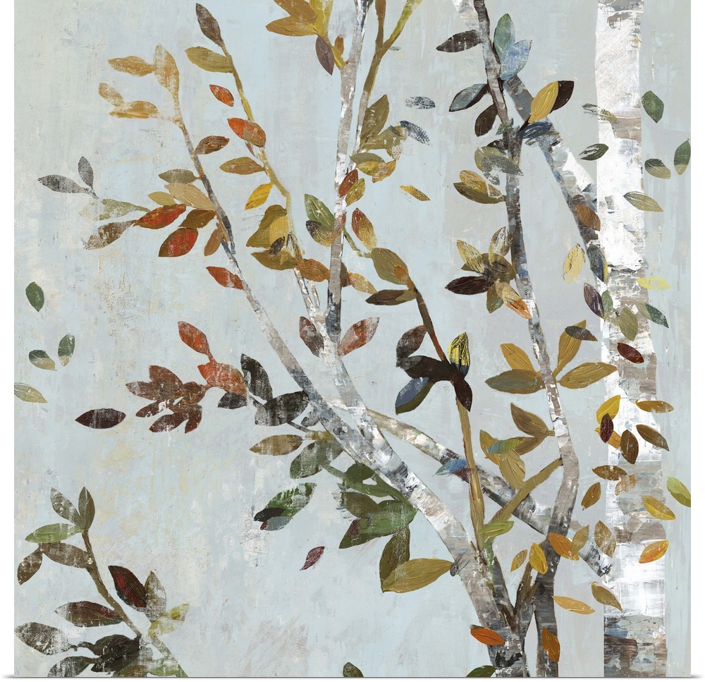 A birch tree with leafy branches in the fall.