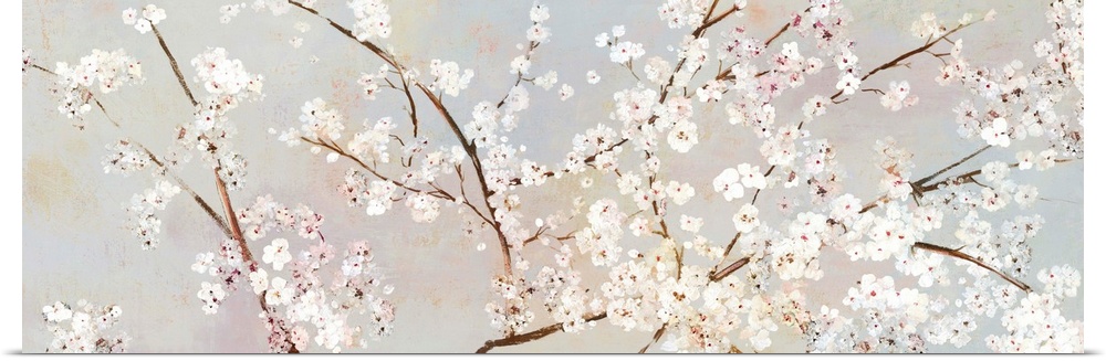 A long panoramic painting of a large branch of white cherry blossoms.