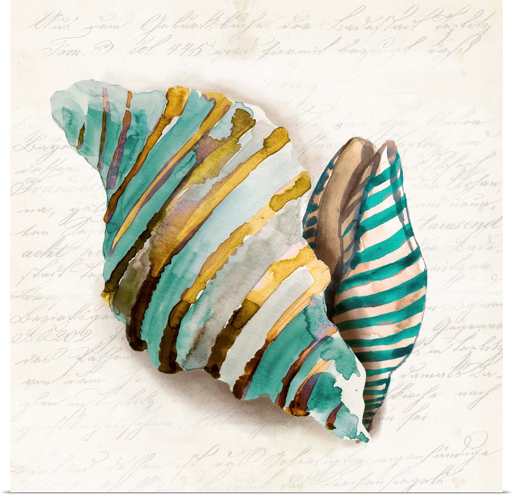 Watercolor painting of a seashell in blue and brown.