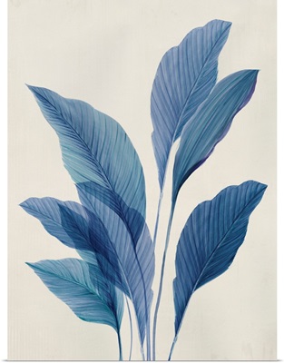 Blue Palm Leaves II