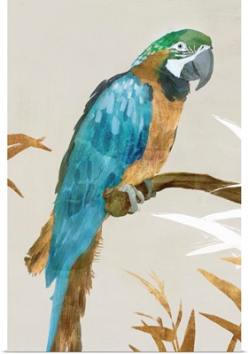 Blue Parrot I