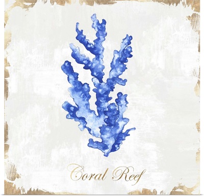 Blue Sea Coral