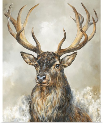 Deer Hart