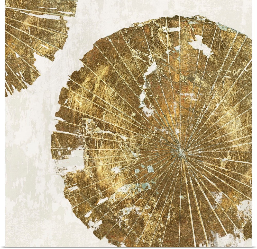 Abstract artwork of circular forms resembling tree rings in gold.