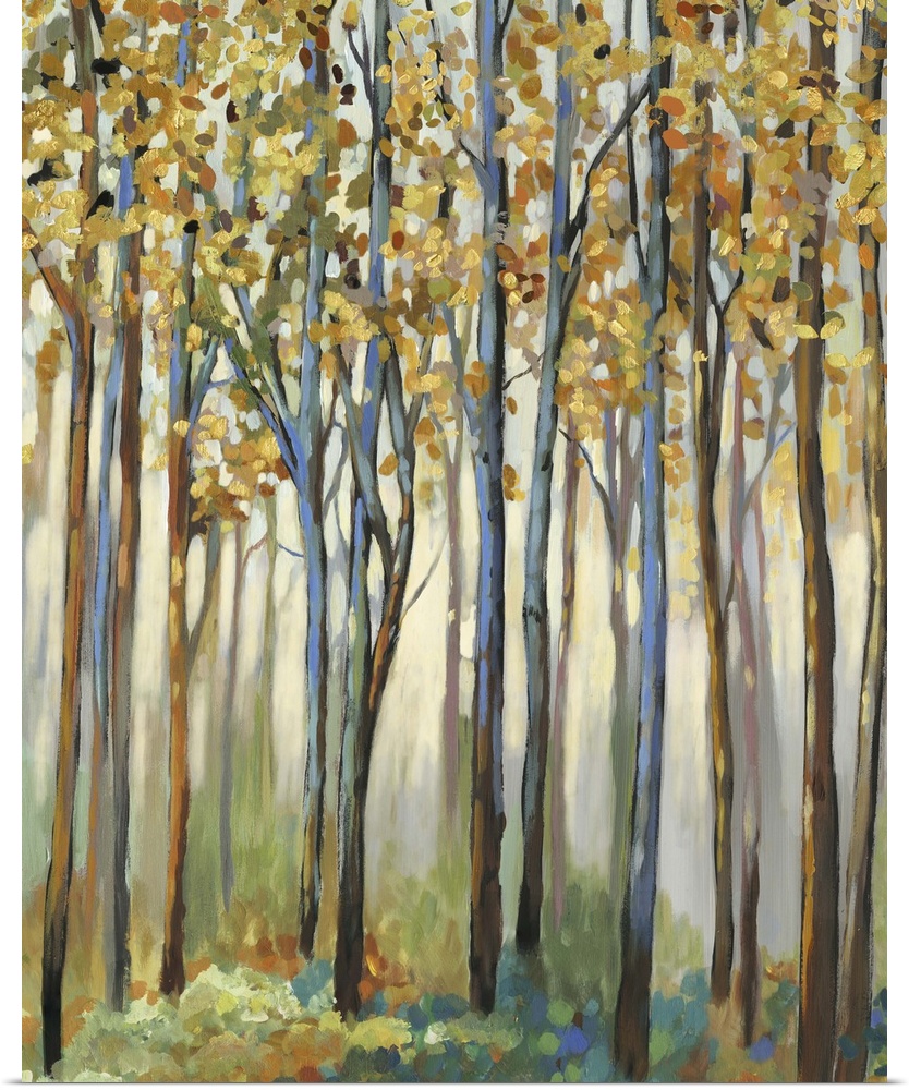 A forest of tall, narrow trees with golden leaves.